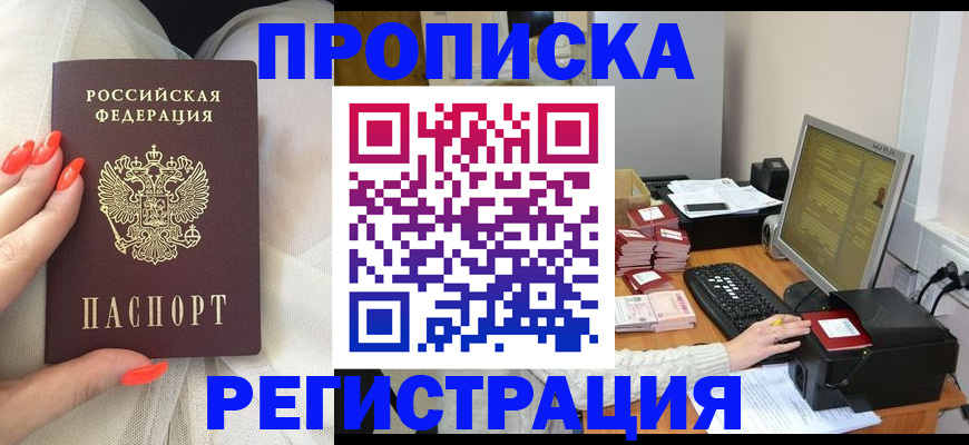 временная регистрация поиск в Коле