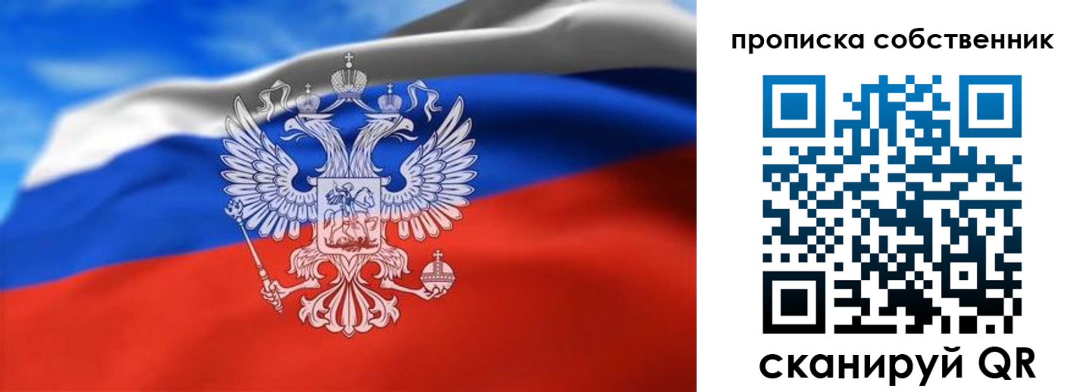 прописка законно в Коле